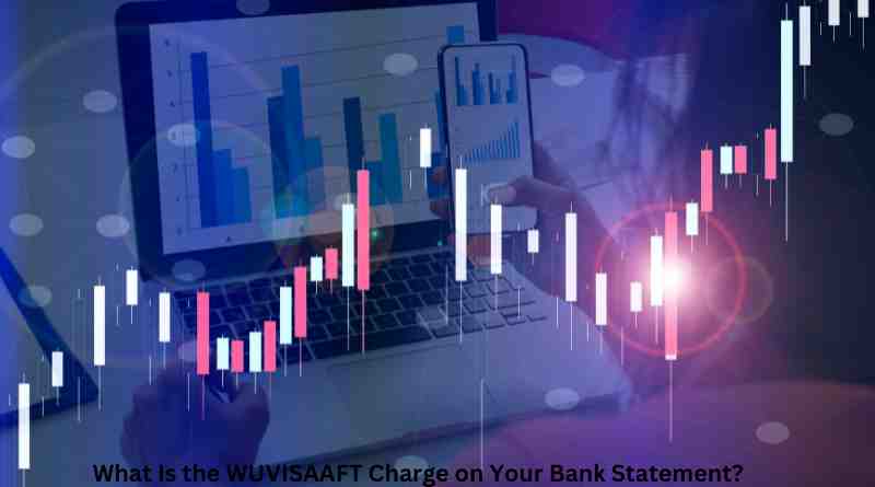 What Is the WUVISAAFT Charge on Your Bank Statement?